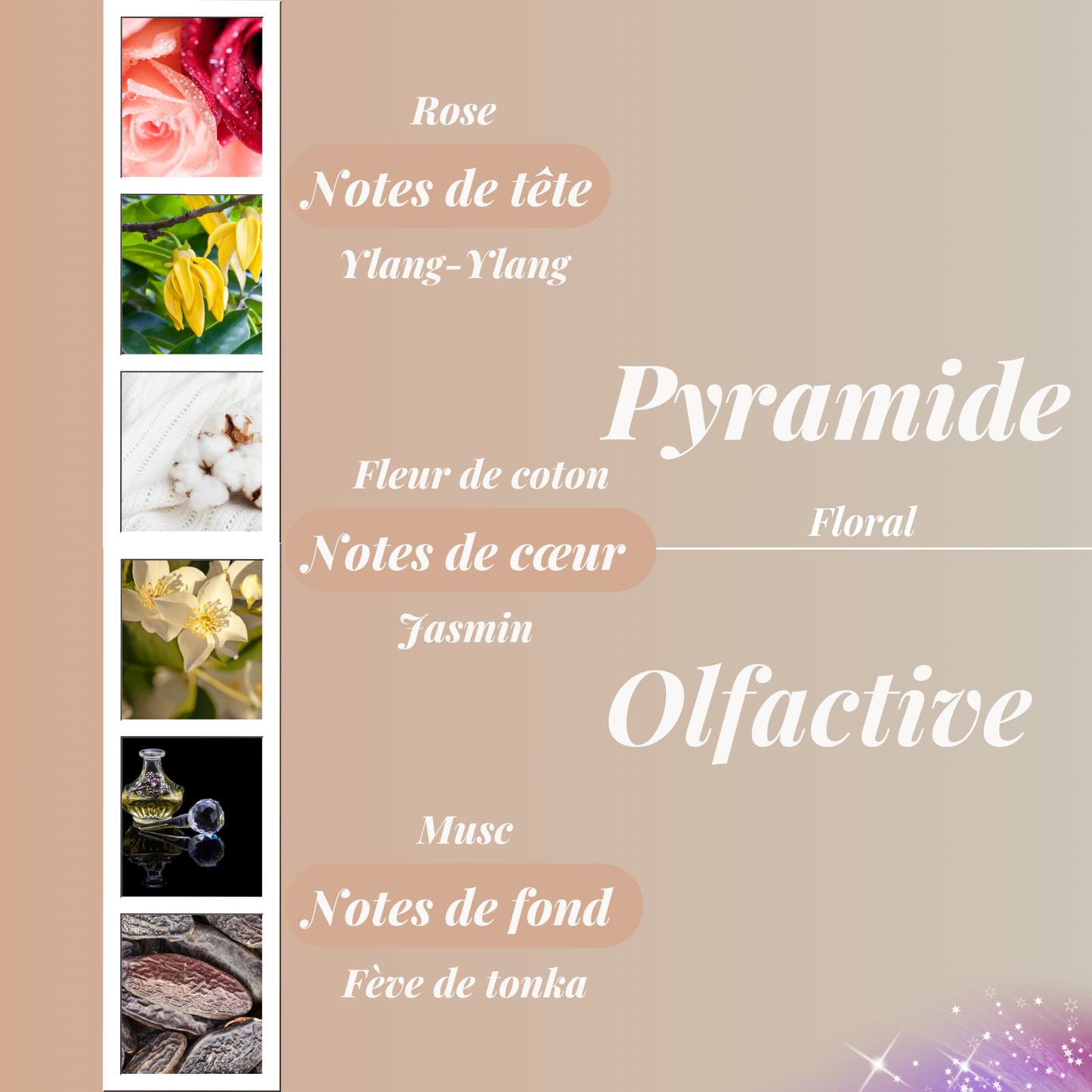 Coffret 6 fondants parfumés - Fleur de coton